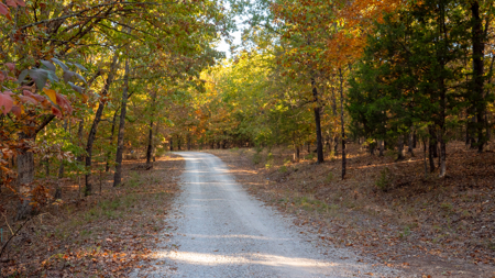 Lot 37 in Subdivision in Gated Community with Airstrip on Bull Shoals Lake Peninsula - image 8