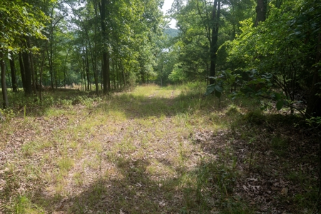 Lot 37 in Subdivision in Gated Community with Airstrip on Bull Shoals Lake Peninsula - image 3