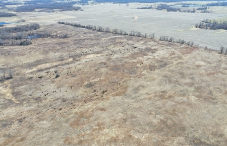 Farm Ground 40 Acres m/l near Eagleville, MO - image 7