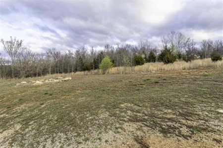 Cabin For Sale in Hardy, Arkansas - image 7