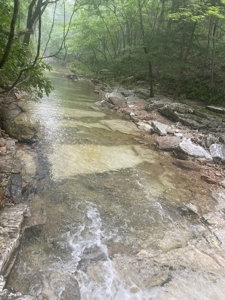Ranch for Sale in Southern Missouri Ozarks - image 50