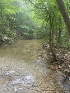 Ranch for Sale in Southern Missouri Ozarks - image 47