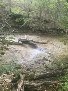 Ranch for Sale in Southern Missouri Ozarks - image 48