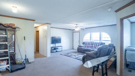 Home and Farm for sale in the Southern Missouri Ozarks - image 31