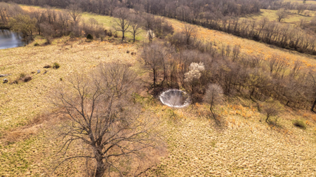 Home and Farm for sale in the Southern Missouri Ozarks - image 19