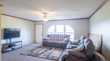 Home and Farm for sale in the Southern Missouri Ozarks - image 30