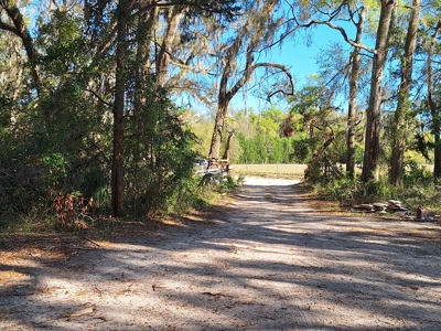 4 Acres Of Land In Levy County Near Chiefland, Florida - image 5