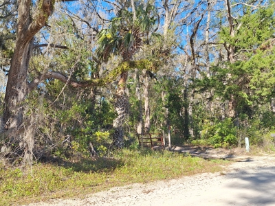 4 Acres Of Land In Levy County Near Chiefland, Florida - image 13