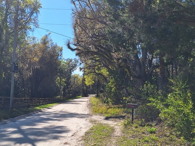 4 Acres Of Land In Levy County Near Chiefland, Florida - image 12