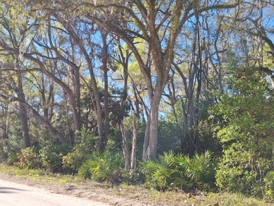 4 Acres Of Land In Levy County Near Chiefland, Florida - image 9
