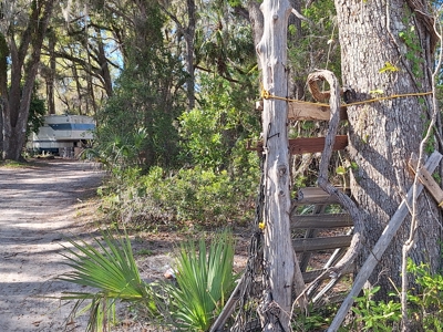 4 Acres Of Land In Levy County Near Chiefland, Florida - image 11