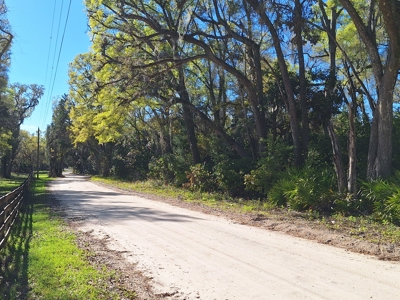 4 Acres Of Land In Levy County Near Chiefland, Florida - image 10