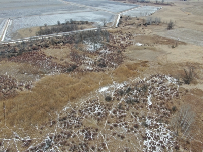 40-acre gem in Marquette County, Wisconsin - image 37