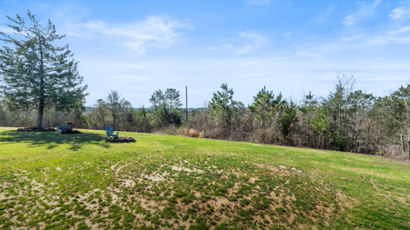 Charming Country Retreat Just 20 Minutes from Atlanta, TX! - image 39