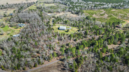 Charming Country Retreat Just 20 Minutes from Atlanta, TX! - image 4