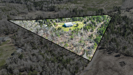 Charming Country Retreat Just 20 Minutes from Atlanta, TX! - image 5