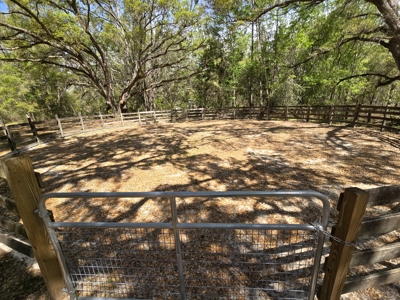 Custom Country Home With Pool On 9+ Acres Near Fort White Florida. Bring Your Horses! - image 49
