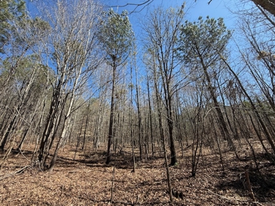 7 Cedar Creek Rd, Elberton, ga- 18.237 Acres For Sale- Elbert County, Georgia - image 12