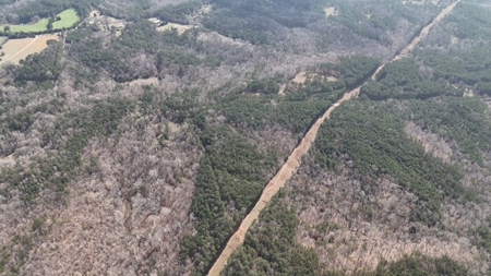 7 Cedar Creek Rd, Elberton, ga- 18.237 Acres For Sale- Elbert County, Georgia - image 19