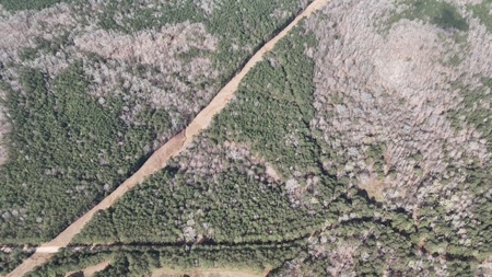 7 Cedar Creek Rd, Elberton, ga- 18.237 Acres For Sale- Elbert County, Georgia - image 23