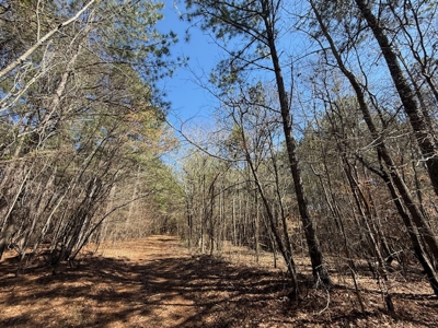7 Cedar Creek Rd, Elberton, ga- 18.237 Acres For Sale- Elbert County, Georgia - image 13