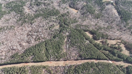 7 Cedar Creek Rd, Elberton, ga- 18.237 Acres For Sale- Elbert County, Georgia - image 21