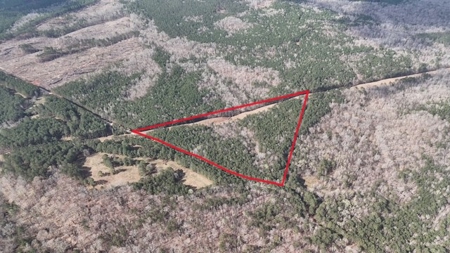 7 Cedar Creek Rd, Elberton, ga- 18.237 Acres For Sale- Elbert County, Georgia - image 15