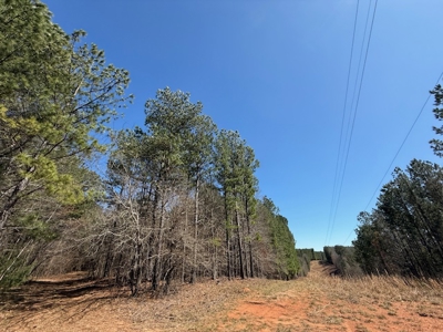7 Cedar Creek Rd, Elberton, ga- 18.237 Acres For Sale- Elbert County, Georgia - image 11