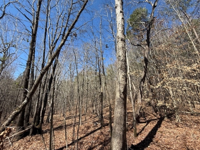 7 Cedar Creek Rd, Elberton, ga- 18.237 Acres For Sale- Elbert County, Georgia - image 7
