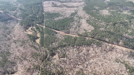 7 Cedar Creek Rd, Elberton, ga- 18.237 Acres For Sale- Elbert County, Georgia - image 18