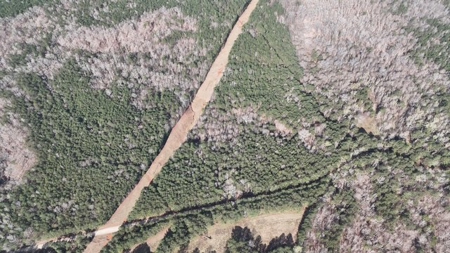 7 Cedar Creek Rd, Elberton, ga- 18.237 Acres For Sale- Elbert County, Georgia - image 22