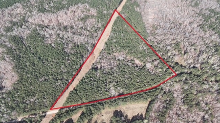 7 Cedar Creek Rd, Elberton, ga- 18.237 Acres For Sale- Elbert County, Georgia - image 1