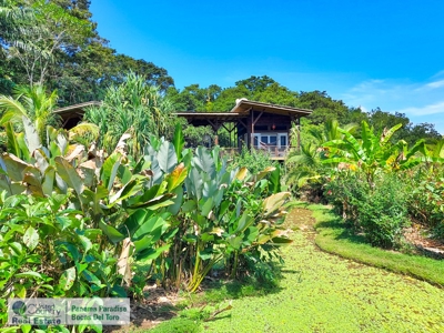 Overwater and Jungle Lodge, Bocas del Toro, Panama - image 17