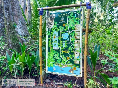 Overwater and Jungle Lodge, Bocas del Toro, Panama - image 13