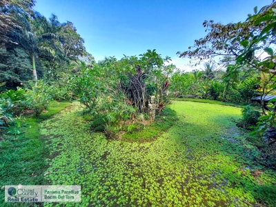 Overwater and Jungle Lodge, Bocas del Toro, Panama - image 16