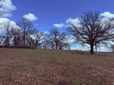Land for Sale Near Lake Sardis Clayton, OK - Mountain View Building Tract for Sale - image 1