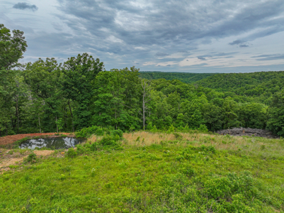 Home for Sale on acreage Camdenton MO - image 49