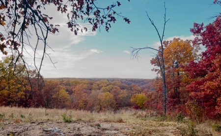 Home for Sale on acreage Camdenton MO - image 2