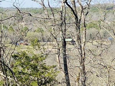 Rural Riverfront Land With Great Views For Sale In Arkansas - image 7