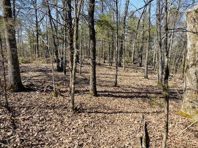 Rural Riverfront Land With Great Views For Sale In Arkansas - image 19
