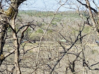 Rural Riverfront Land With Great Views For Sale In Arkansas - image 5