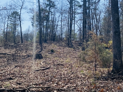 Rural Riverfront Land With Great Views For Sale In Arkansas - image 15