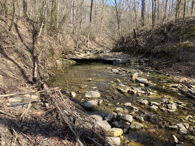 Rural Riverfront Land With Great Views For Sale In Arkansas - image 20