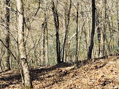 Rural Riverfront Land With Great Views For Sale In Arkansas - image 6