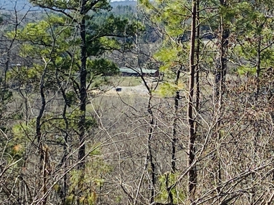Rural Riverfront Land With Great Views For Sale In Arkansas - image 11