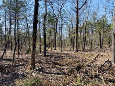 Rural Riverfront Land With Great Views For Sale In Arkansas - image 21