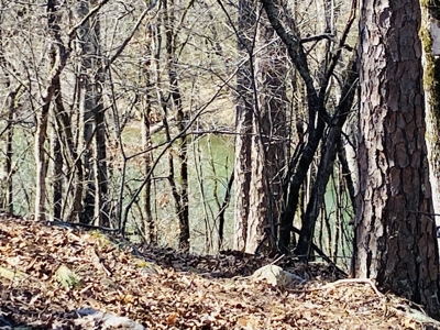 Rural Riverfront Land With Great Views For Sale In Arkansas - image 8