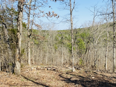 Rural Riverfront Land With Great Views For Sale In Arkansas - image 22