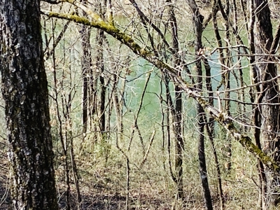 Rural Riverfront Land With Great Views For Sale In Arkansas - image 10