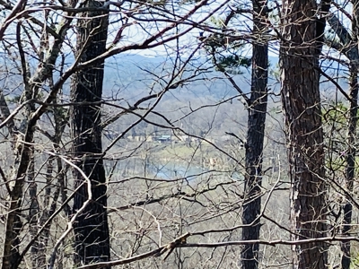 Rural Riverfront Land With Great Views For Sale In Arkansas - image 4